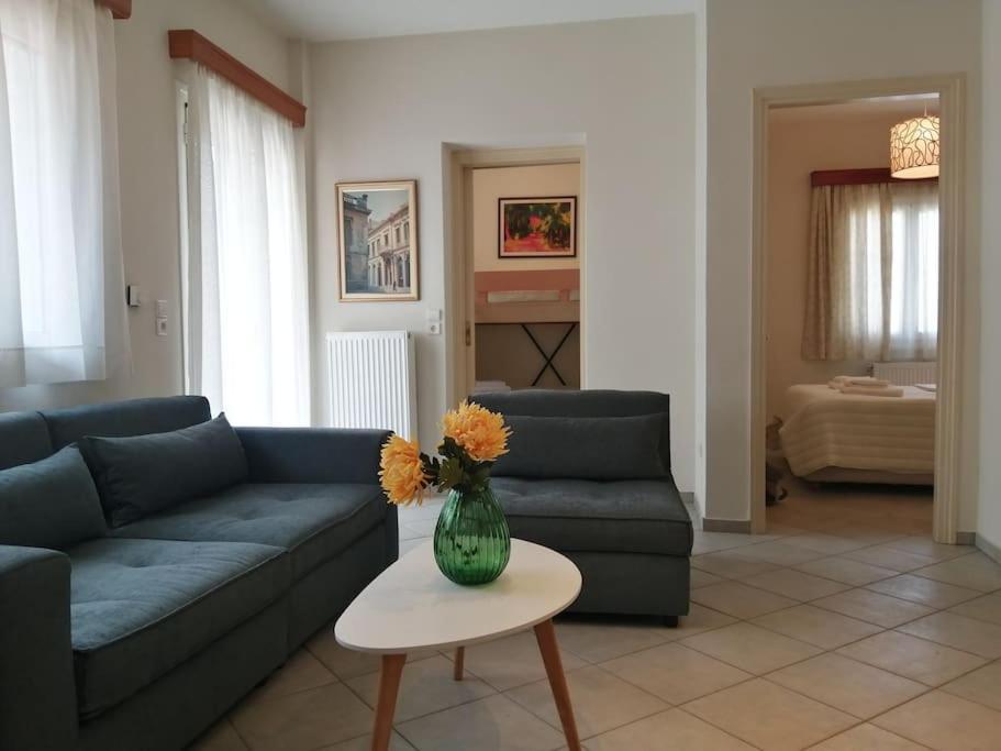Appartement Three Elements à Konitsa Extérieur photo